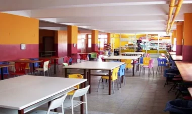 Bufetdəki yeməklər şagirdlər üçün təhlükəlidir?