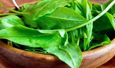 İltihabəleyhinə, klimaks zamanı müalicəvi vasitə