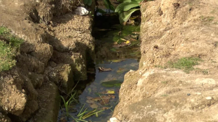 Qrunt suları evlərin zirzəmilərinə axır - VİDEO