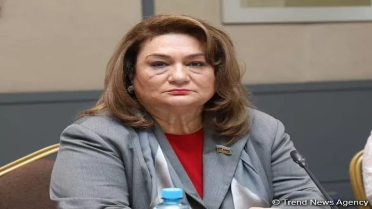 Hələ də ölkədə təhsildən yayınan uşaqlar var – Komitə sədri