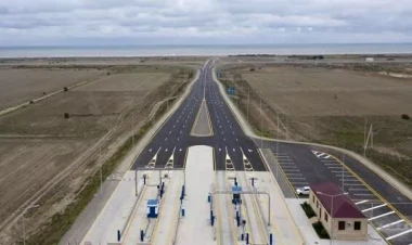 Qoyunlar da pullu yoldan istifadə edir?