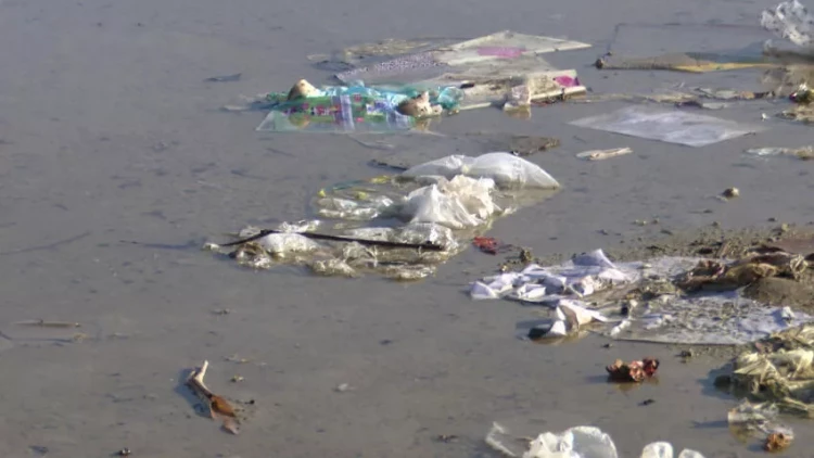 Bakıda bu gölün antisanitar vəziyyəti sakinləri bezdirib - VİDEO