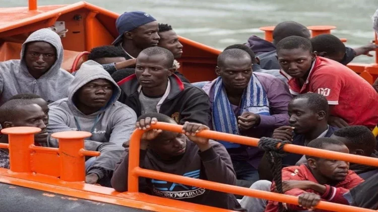 Ölkəmizdə qalmağa icazəsi olmayanlar deportasiya edilməlidir - Nensi Fizer