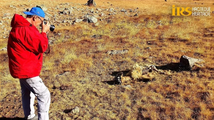 Hikmət Hacıyev mina qurbanı olan ayı balasını paylaşdı - Danışan şəkil