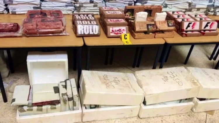 Dondurulmuş balıqlarda külli miqdarda kokain aşkarlandı