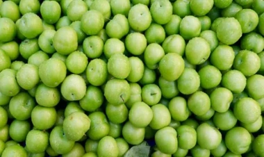 Alça yedikdən dərhal sonra bunu etsəniz... - Mütəxəssislərdən xəbərdarlıq