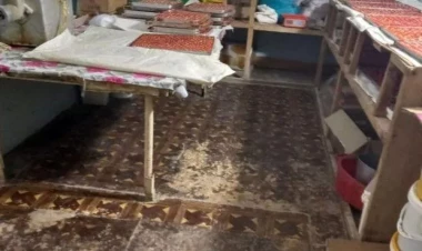 Gəncədə bərbad vəziyyətdə istehsal müəssisəsi aşkarlandı - FOTO
