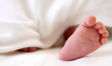 Zibil qutusundan yeni doğulmuş körpə meyiti tapıldı