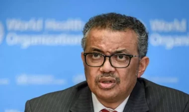 ÜST: Bu il 31 ölkədə vəba epidemiyası qeydə alınıb