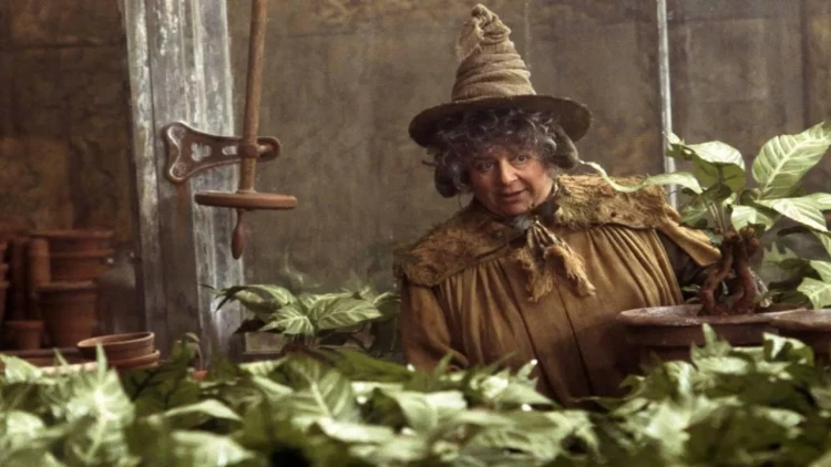 Məşhur aktrisaya inəyin orqanını köçürdülər