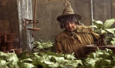 Məşhur aktrisaya inəyin orqanını köçürdülər