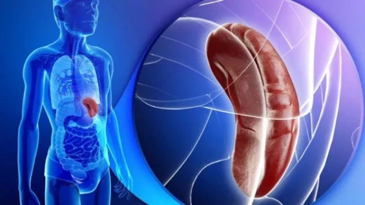 Öd kisəsi olmadan insan yaşaya bilərmi? - CAVAB