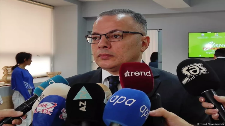 Azərbaycanda hər 5 sahibkarın biri qadındır - Vüsal Qasımlı