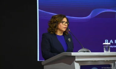 140 qadın sahibkara 9,9 milyon manat güzəştli kredit verilib - Komitə sədri