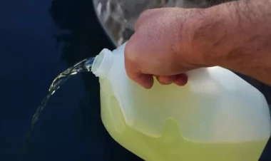 Dövlət qurumu xlora 60 min manat xərcləyir