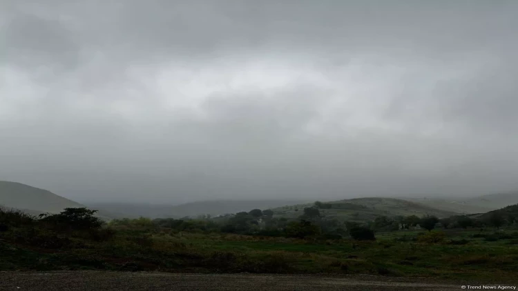 Media nümayəndələri Füzulidə olublar - FOTO