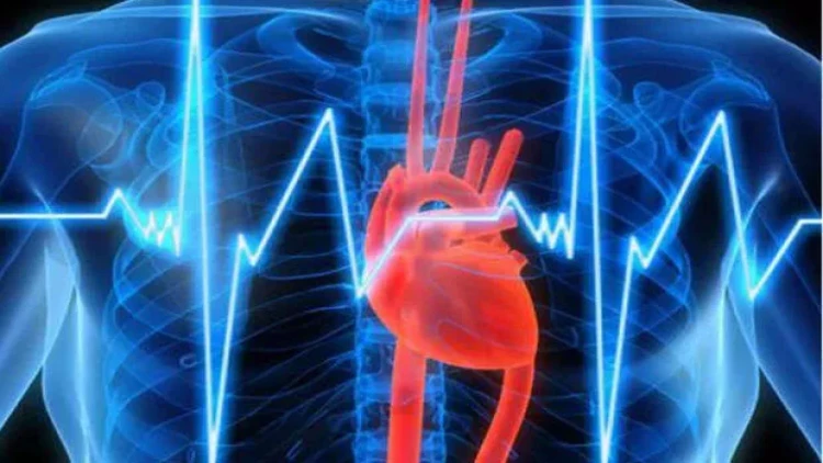 Ürək sağlamlığını qorumağın yolları