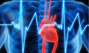 Ürək sağlamlığını qorumağın yolları