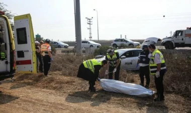 Festivalın keçirildiyi yerdən 260 meyit çıxarıldı