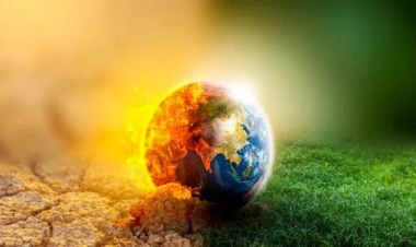 Qlobal iqlim dəyişikliyinin səbəb olacağı fəsadlar