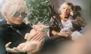 Məşhur müğənni pişiyinə 3 milyon xərclədi - FOTO