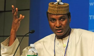 Nigerin baş naziri: 