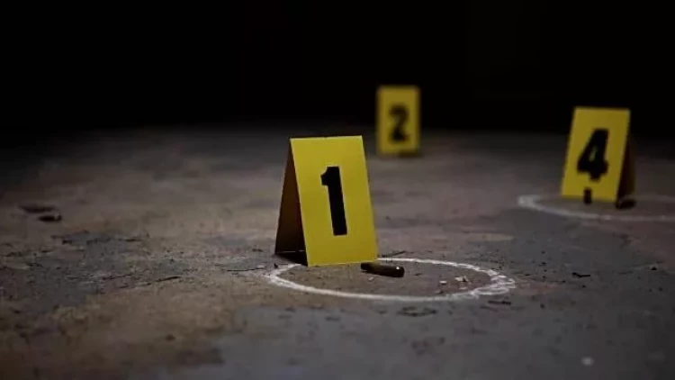 Məşhur müğənninin iş yeri güllələndi - ANBAAN VİDEO