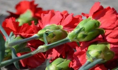 Babək  şəhərində “Şəhidlər parkı” salınır