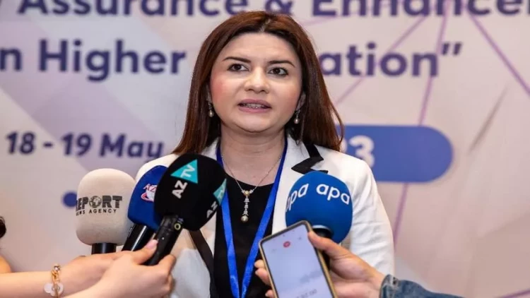 Elm və Ali Təhsil üzrə Dövlət Agentliyinə direktor təyin olundu