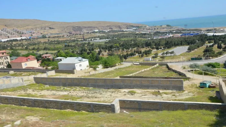 Kuryoz dələduzluq: 