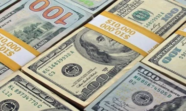 AMB-nin valyuta ehtiyatları AÇIQLANDI