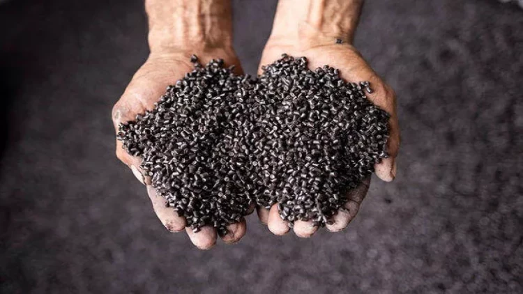 Plastiki parçalayan qurdlar tapıldı