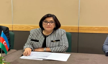 Sahibə Qafarova: Qəbul etdiyiniz qətnamələr beynəlxalq hüququn prinsiplərinə ziddir - FOTO