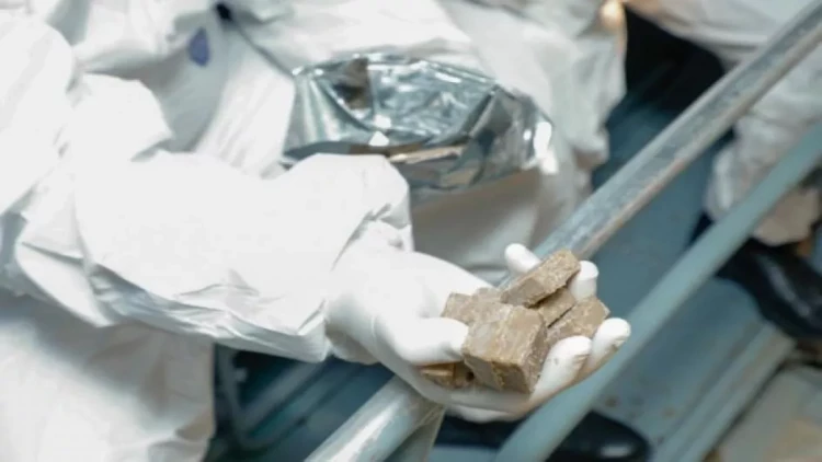 Hər il dünyada 70 min nəfərin ölümünə səbəb olur - FOTO