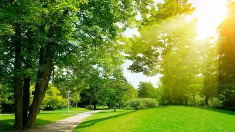 Sabah Bakıda 28° isti olacaq