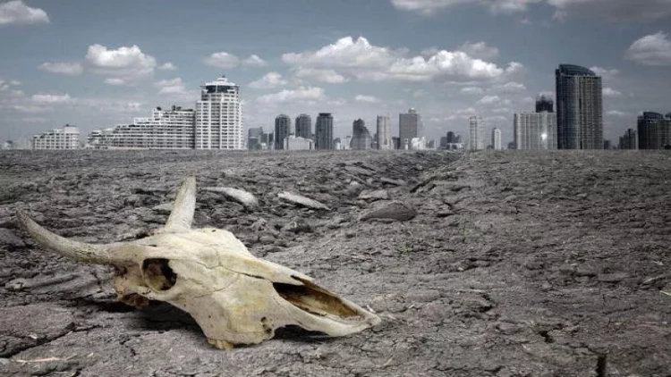 Məməlilər nəslini təhlükə gözləyir