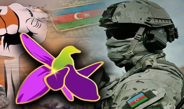 30 illik həsrəti bitirən 44-ün başladığı tarix