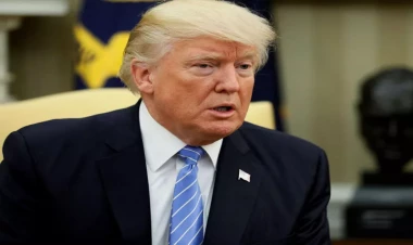 Tramp dələduzluqda təqsirli bilinir