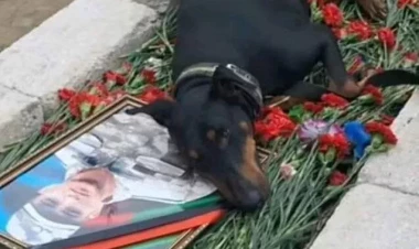 “Ramil yuxuda dedi ki, iti gətir, onunla sağollaşmalıyam” - VİDEO