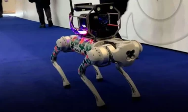 Robot it istehsal edildi