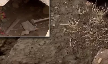 Bakıda qəbiristanlığında vahiməli mənzərə - VİDEO