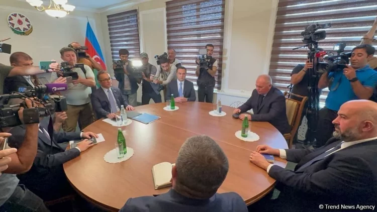 Bu, ermənilərin təhlükəsizliyinin təmin olunmasının yeganə yoludur - Karina Eritsyan