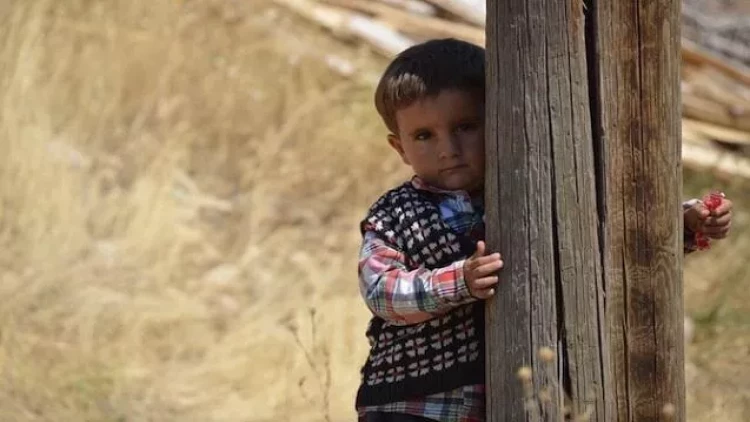 Naxçıvanda uşaqlar oğurlanır? - DİN-dən AÇIQLAMA - FOTO