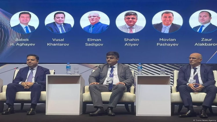 Azərbaycanda yerli kibertəhlükəsizlik məhsulları hazırlanır