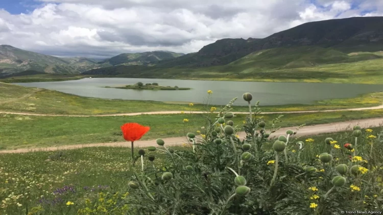 Bu bölgədə Tematik Parklar yaradılacaq