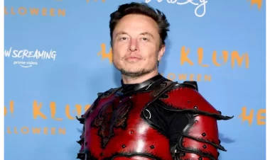 İlon Mask könüllü axtarır: Beyninə...