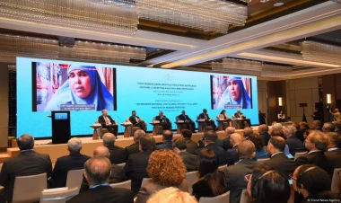 İtkin düşmüş şəxslərlə bağlı bəyanat qəbul edildi