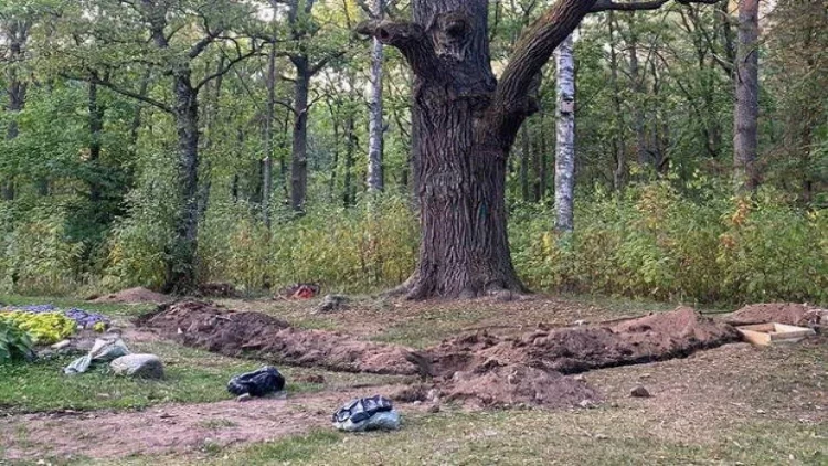 20-ci əsrin əvvəllərinə aid 40-dan çox insan sümüyü aşkar edilib