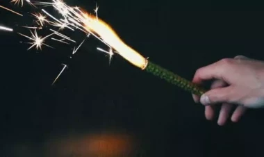 Bu ölkədə fişəng atmaq qadağan edildi - SƏBƏB