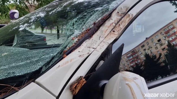 Qeyri-sabit hava şəraiti ağır fəsadlar törətdi - VİDEO - FOTO